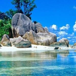 Meet your Posher, Alice